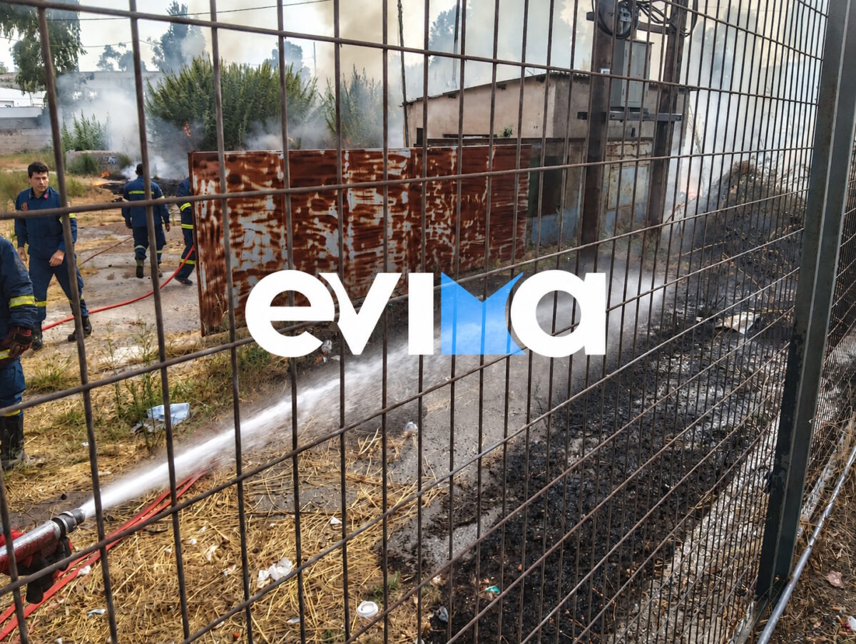 Φωτιά στη Χαλκίδα