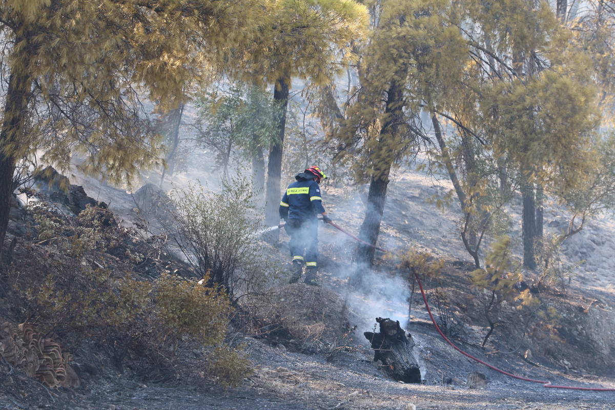 Φωτιά στο Αλσος Γαλατσίου: Μεγάλη κινητοποίηση της πυροσβεστικής