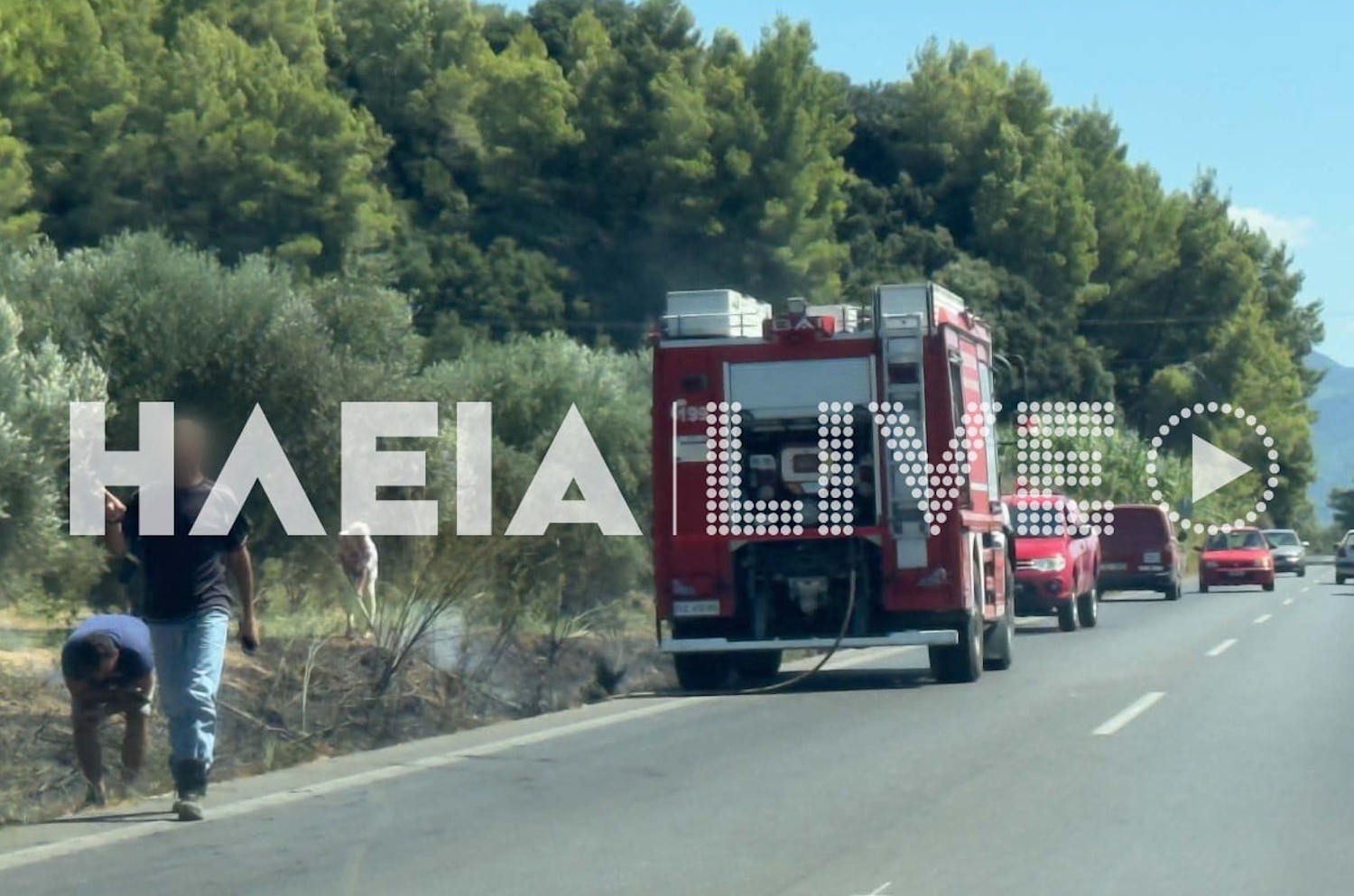 Φωτιές στη νότια Ηλεία: Μεγάλη κινητοποίηση της πυροσβεστικής σε Κάτω Σαμικό και Αγρίδι