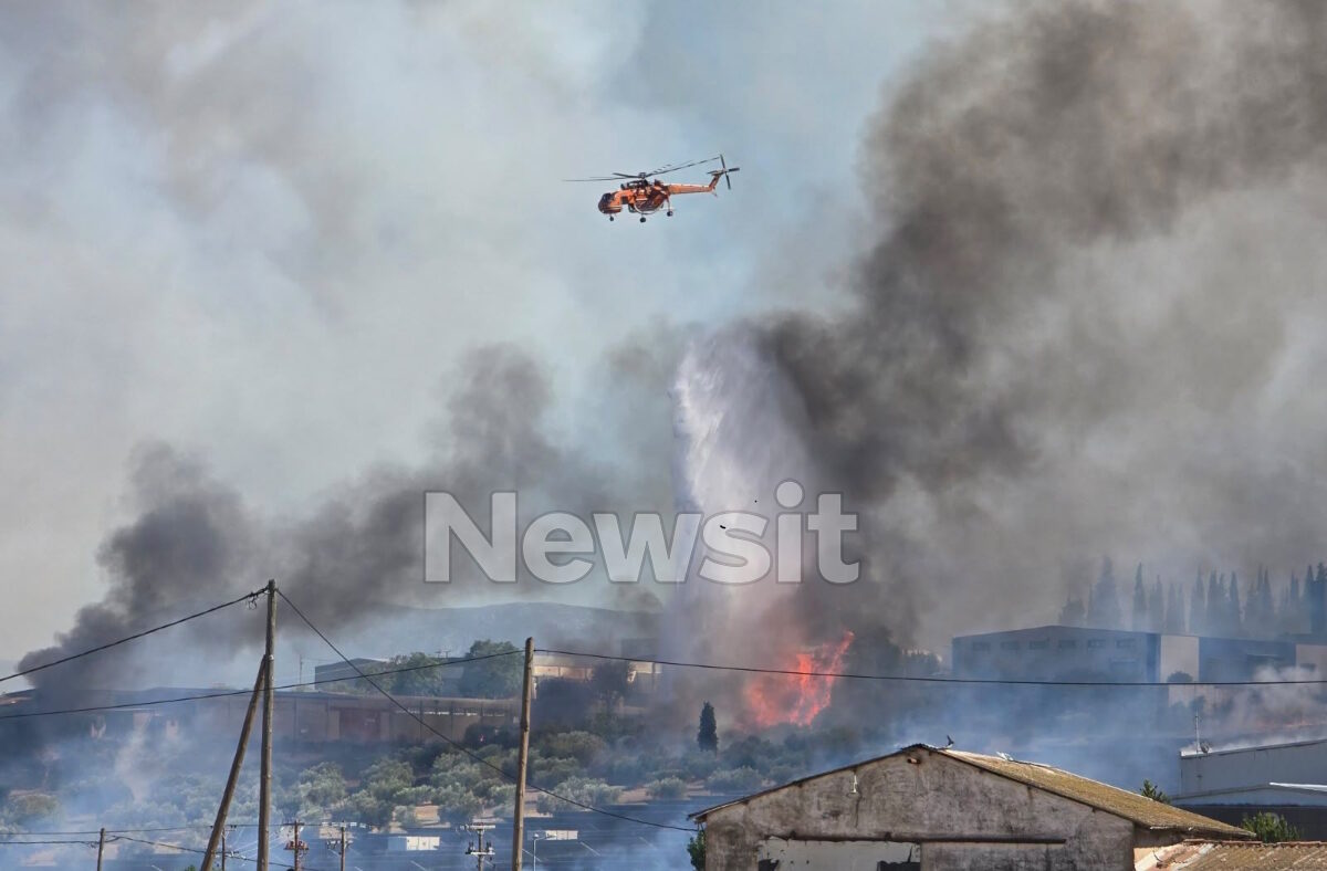 Φωτιά στην Τανάγρα