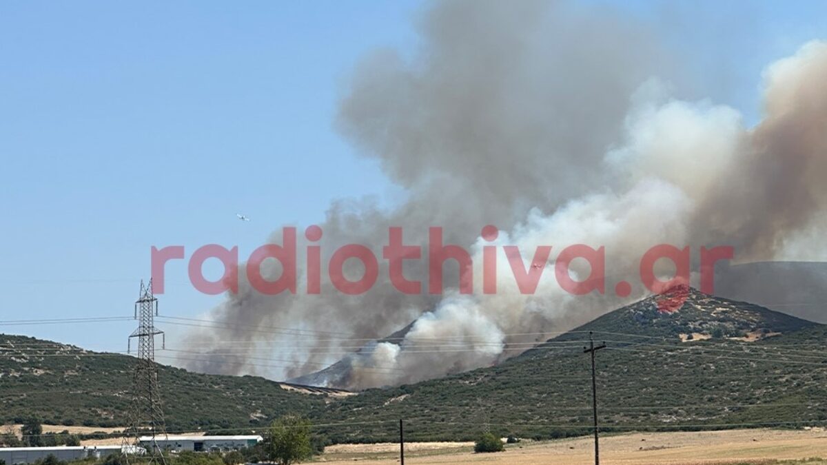 Φωτιά στη Θήβα