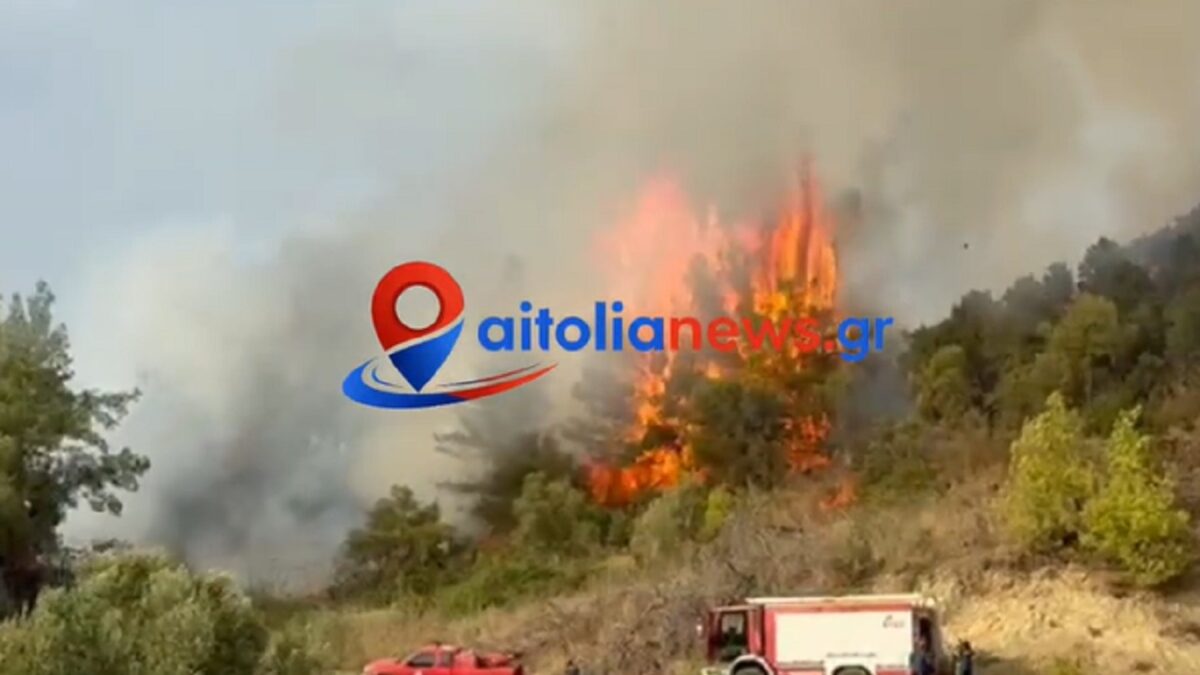 Φωτιά στο Μεσολόγγι