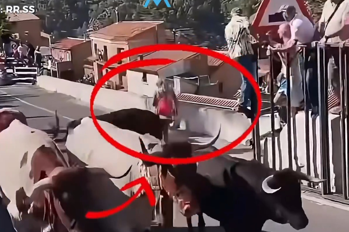 Ισπανία: Ταύρος σκότωσε 64χρονη σε αγώνα ταυροδρομίας - Συγκλονιστικό βίντεο από την επίθεση