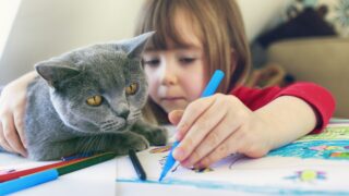 Πηγή φωτό: iStock