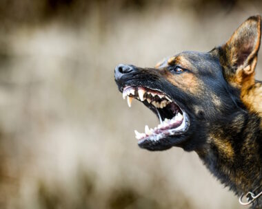 iStock