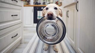 Πηγή φωτό: iStock