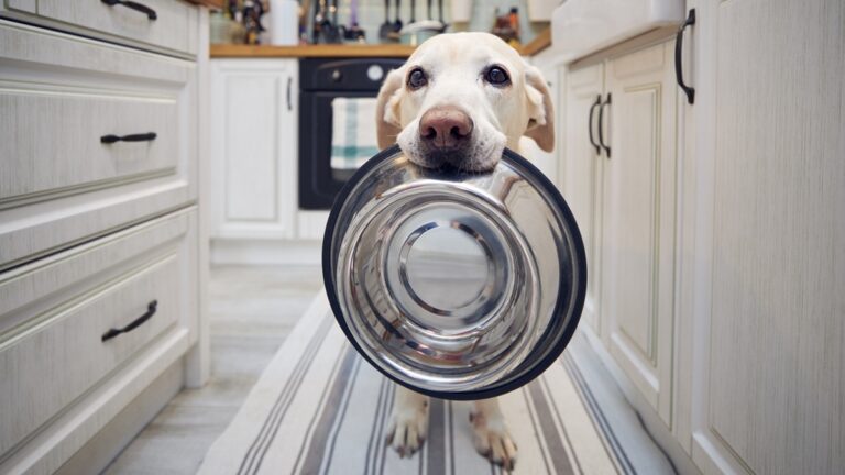 Πηγή φωτό: iStock