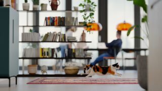Πηγή φωτό: iStock