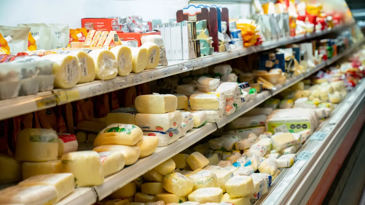 Delicious variety of cheese in the dairy aisle refrigerated section of the supermarket - No people cheese