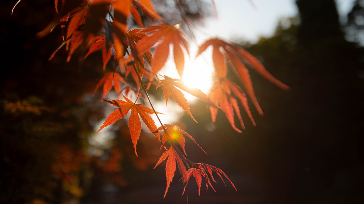 Πηγή φωτό: iStock