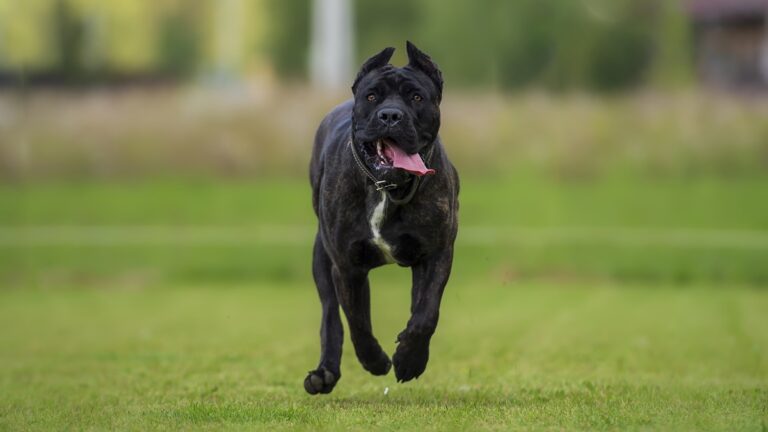 Πηγή φωτό: iStock