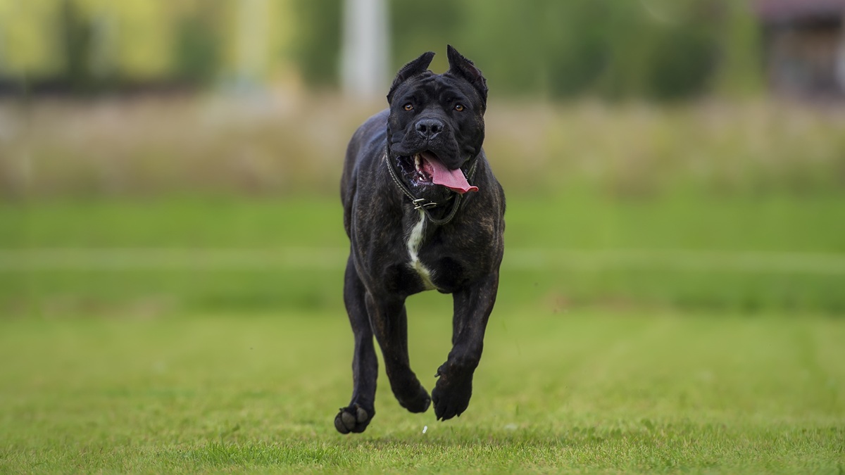 Πηγή φωτό: iStock