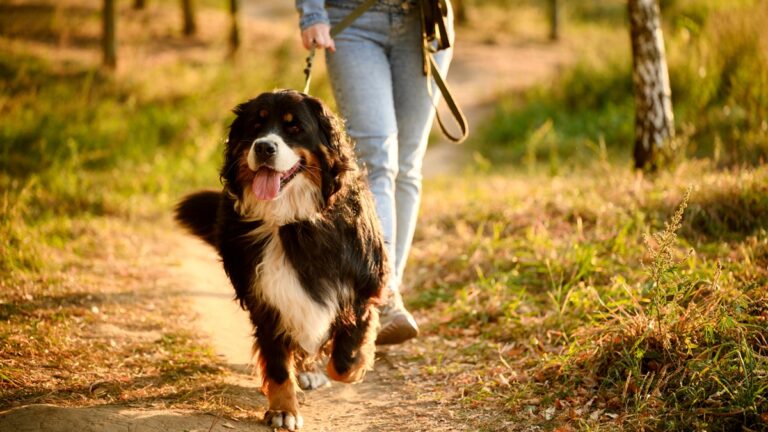 Πηγή φωτό: iStock