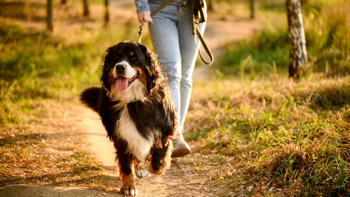 Πηγή φωτό: iStock