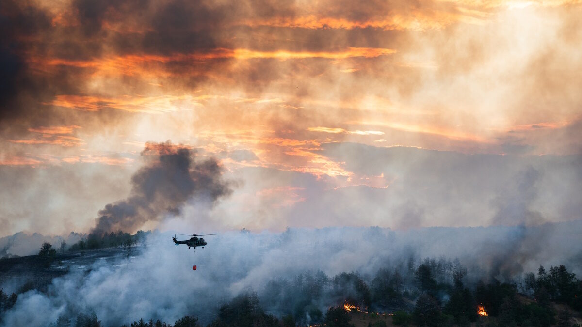Firefighter helicopter is flying over forest wildfire, dumping water from a bucket to put out the fire. A helicopter drops water onto burning land
