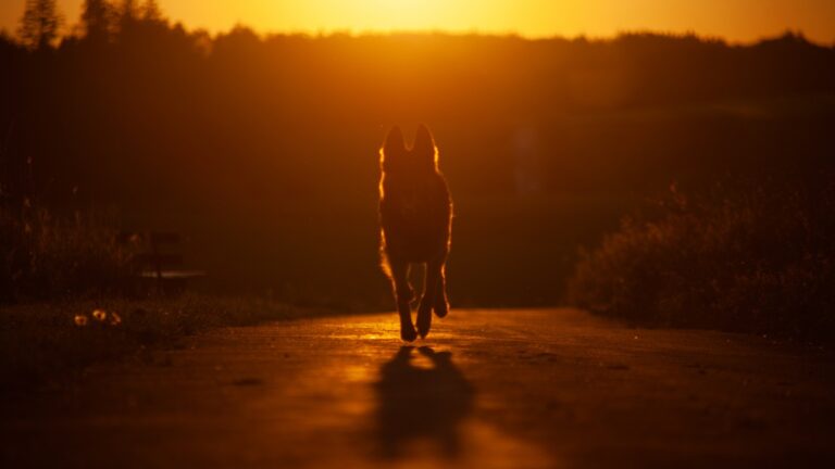Πηγή φωτό: iStock