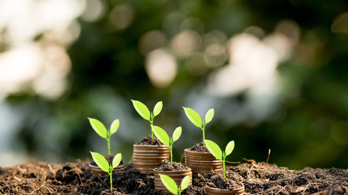 The coins are stacked on the ground and the seedlings are growing on top, the concept of saving money and financial and business growth.