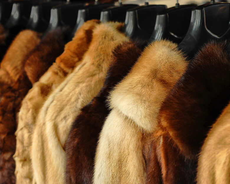 fur jackets at the store