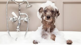 Πηγή φωτό: iStock
