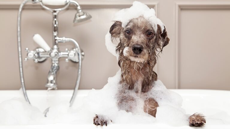 Πηγή φωτό: iStock