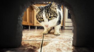 Πηγή φωτό: iStock