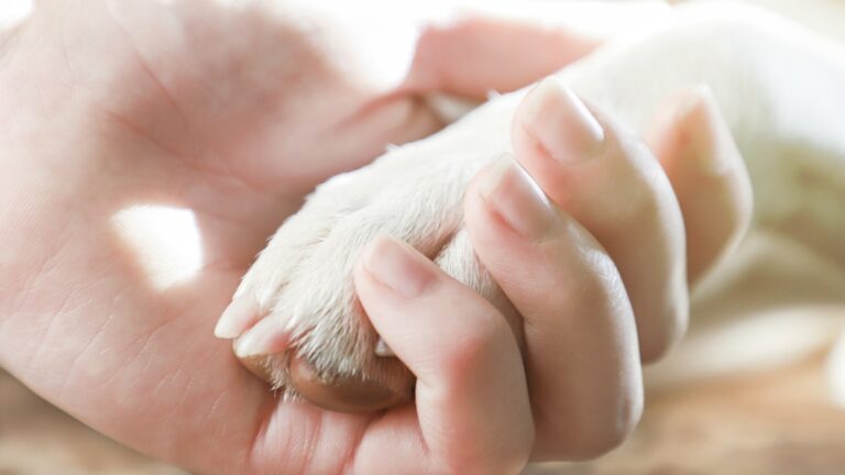 Πηγή φωτό: iStock