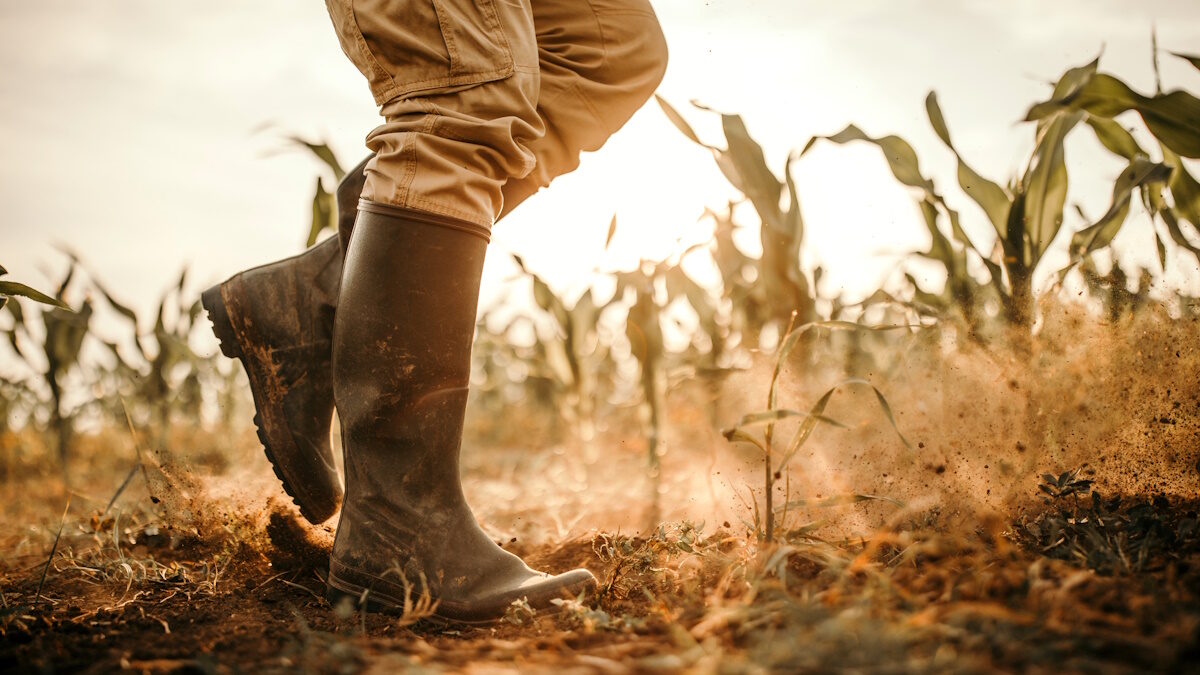 Farmers boots