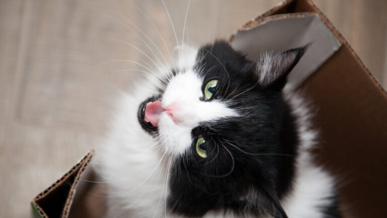 Πηγή φωτό: iStock