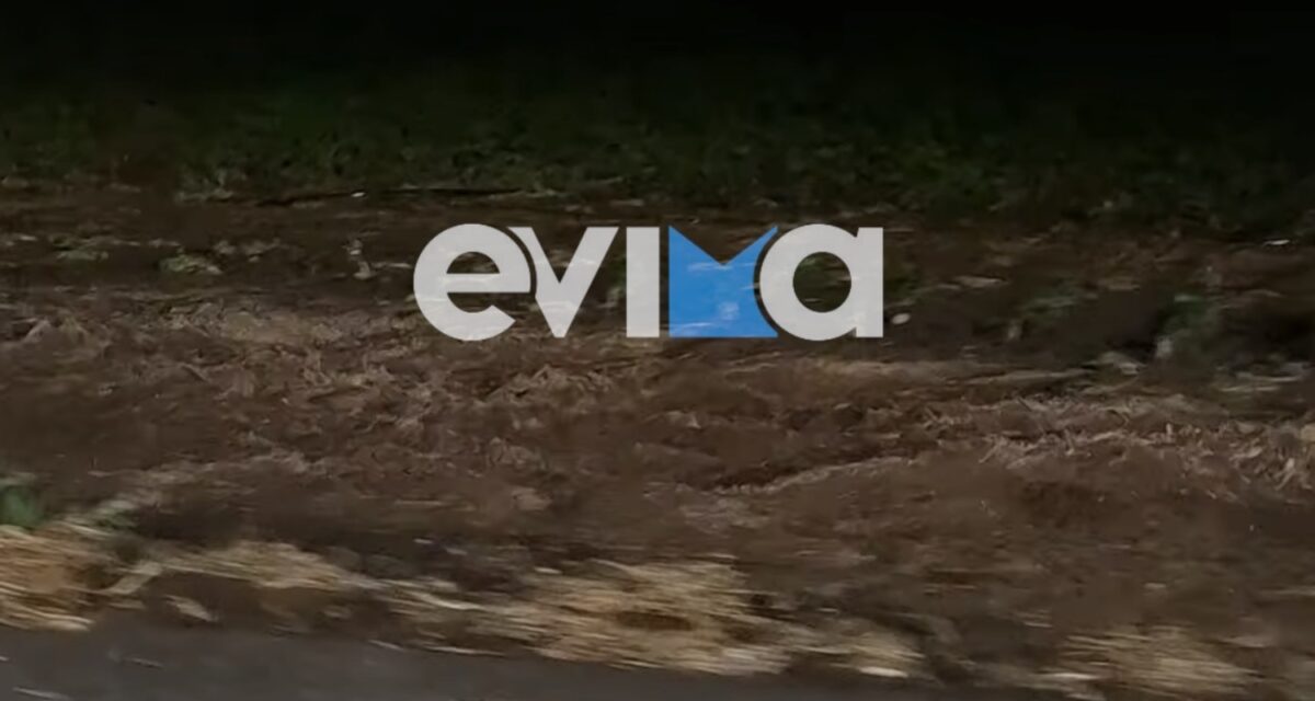 Εύβοια: Απεγκλωβισμός δύο ατόμων από αυτοκίνητο στα Πολιτικά εξαιτίας της κακοκαιρίας | Επικαιρότητα στο PlusTV.gr