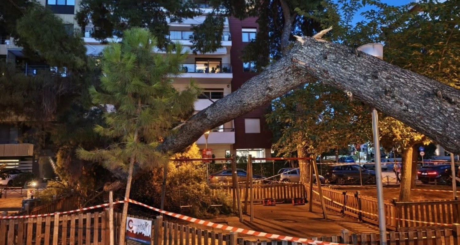 Δέντρο έπεσε και τραυμάτισε μητέρα και τον 17 μηνών γιο της σε παιδική χαρά στην Καλαμαριά
