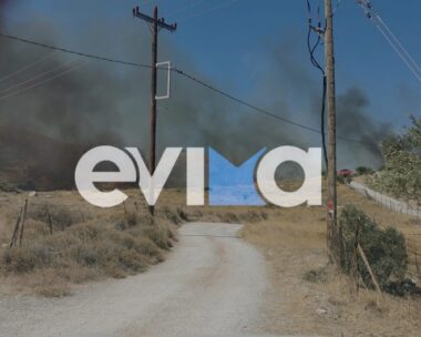 Φωτιά στην Κάρυστο
