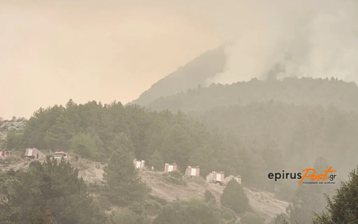 Φωτιά στην Κόνιτσα