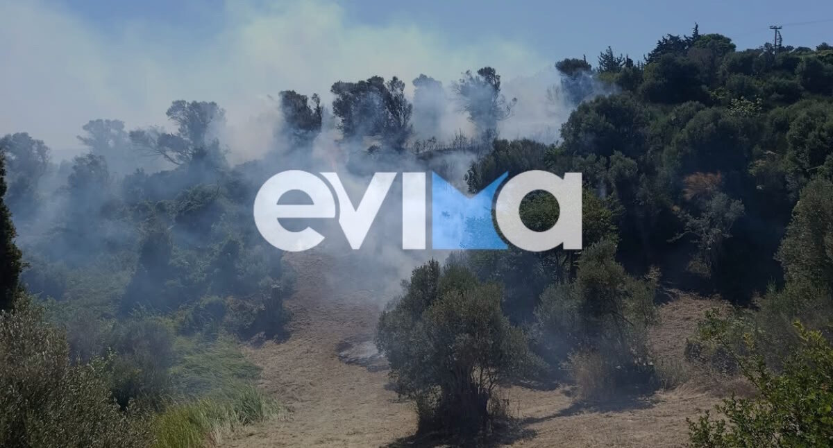 Φωτιά στην Κύμη Ευβοίας