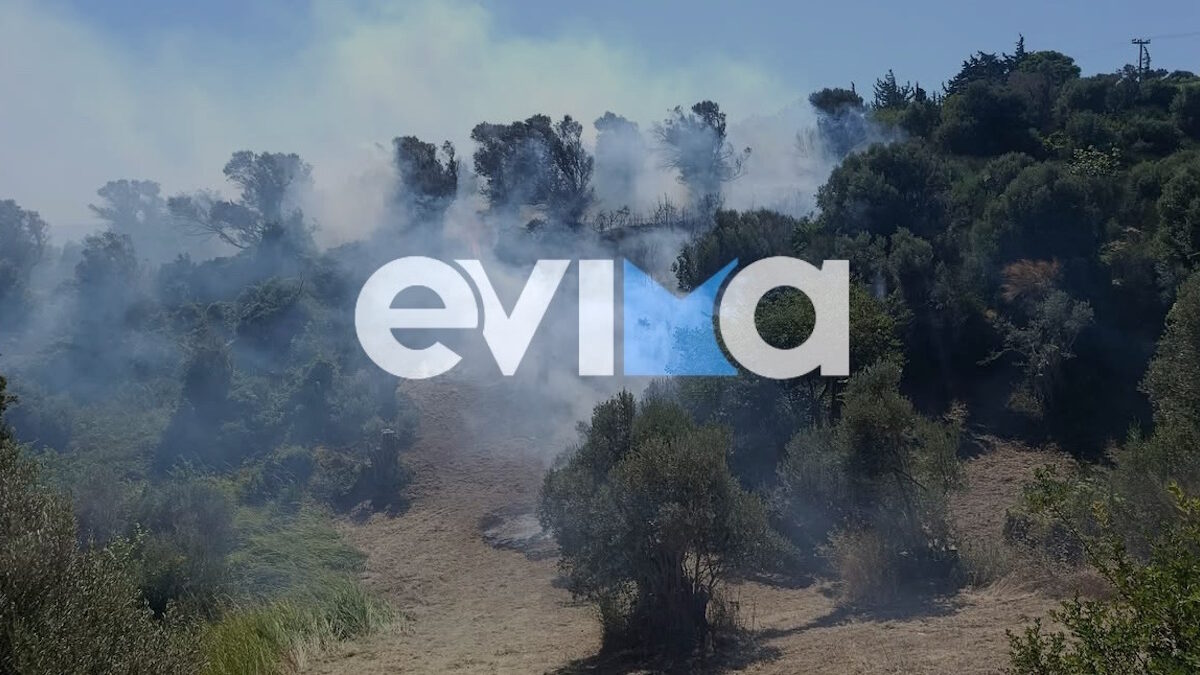 Φωτιά στην Κύμη Ευβοίας