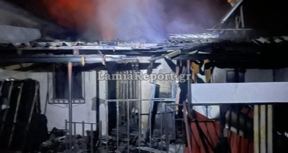 Τραγωδία στη Φθιώτιδα: Νεκρή 32χρονη μαζί με το σκυλάκι από αναθυμιάσεις μετά από φωτιά στο σπίτι της