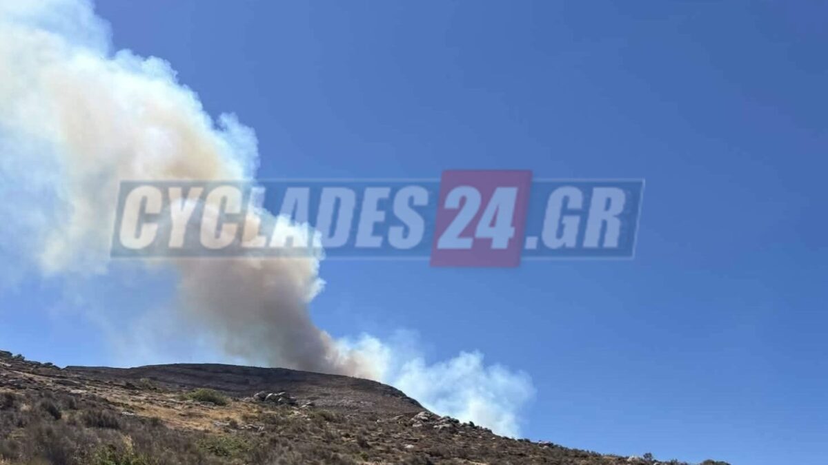 Φωτιά στην Πάρο στην περιοχή Λεύκες: Σηκώθηκαν 6 εναέρια μέσα