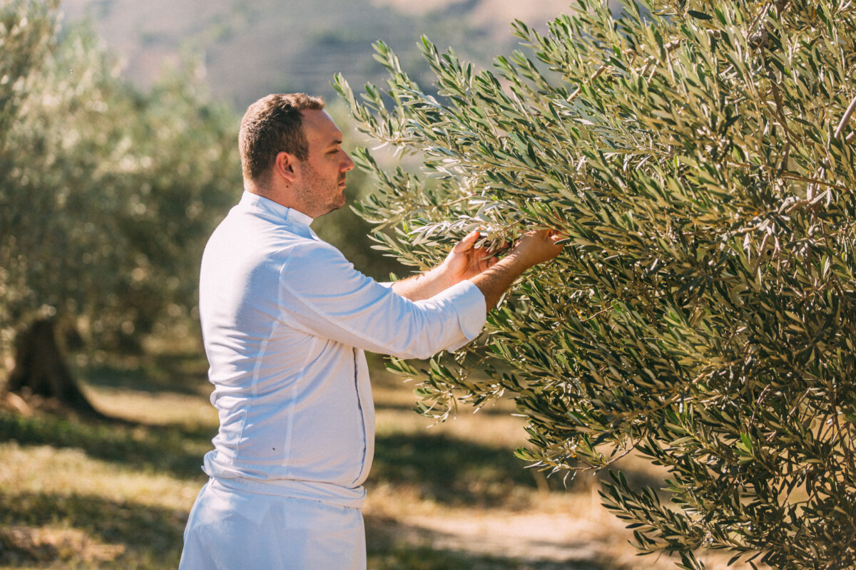 makris athens the farm