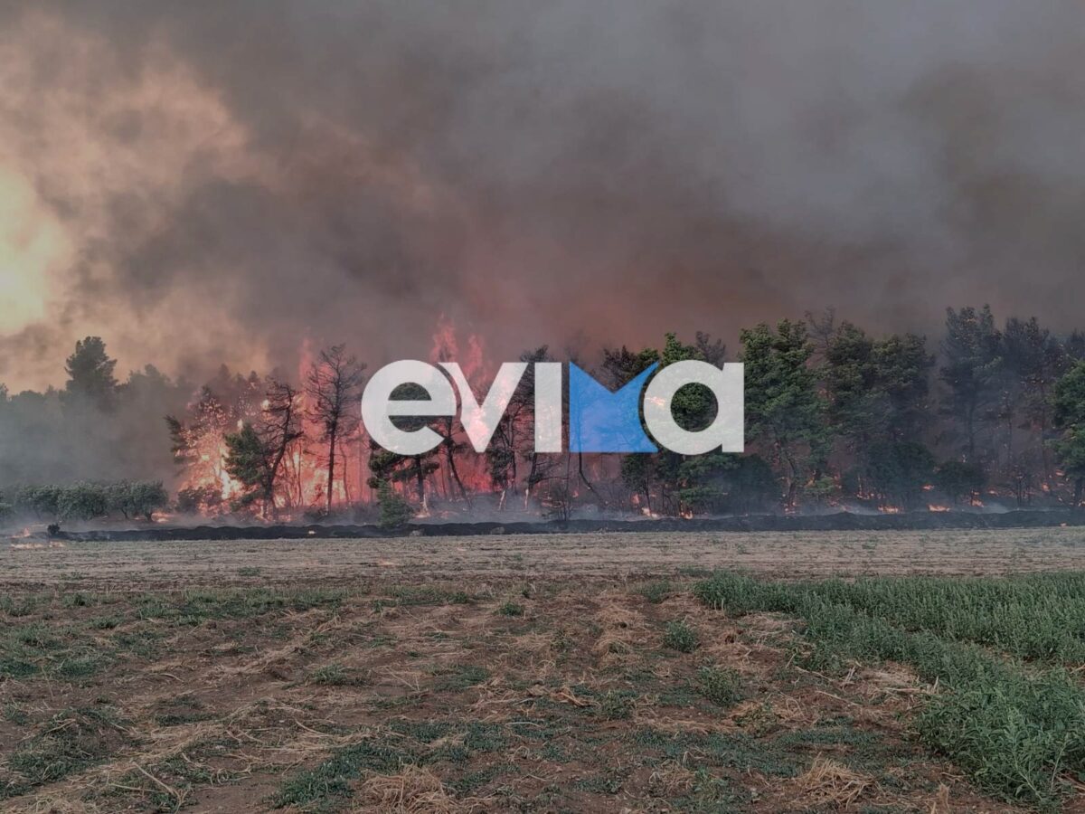 evima
