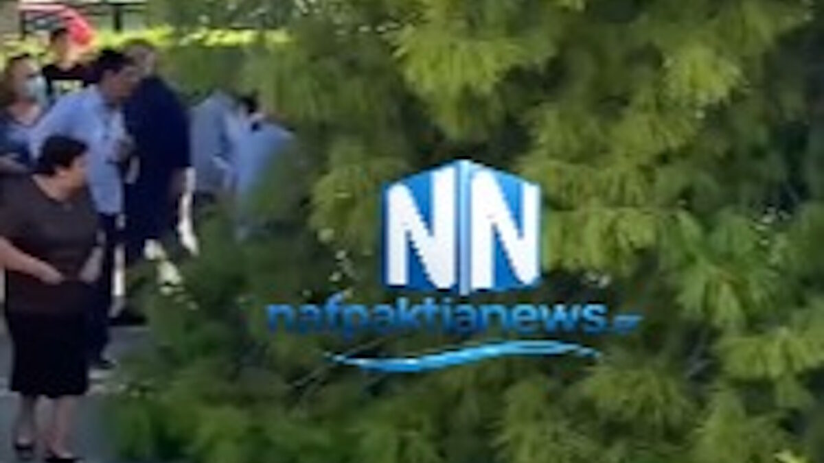 δέντρο