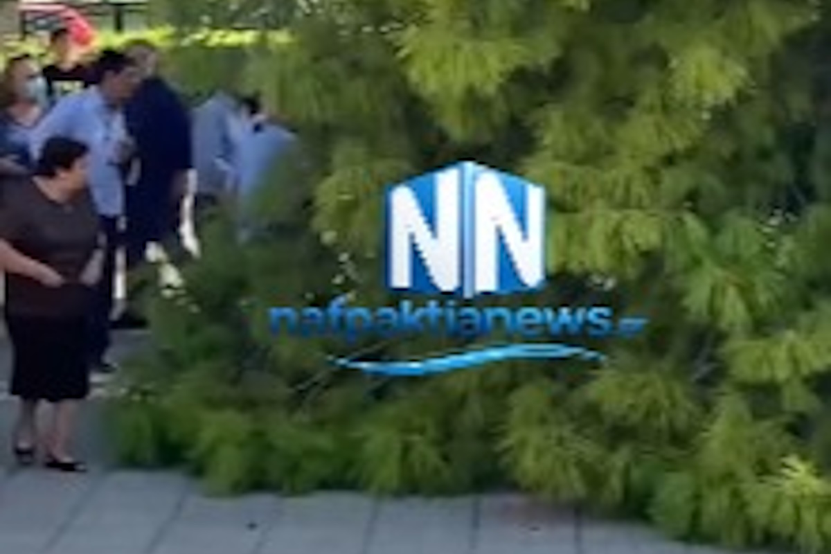 δέντρο