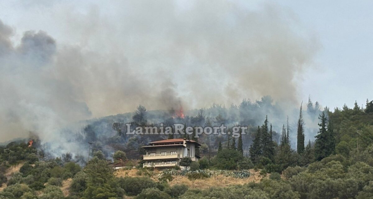 Φωτιά σε αγροτοδασική έκταση στην Πελασγία Φθιώτιδας
