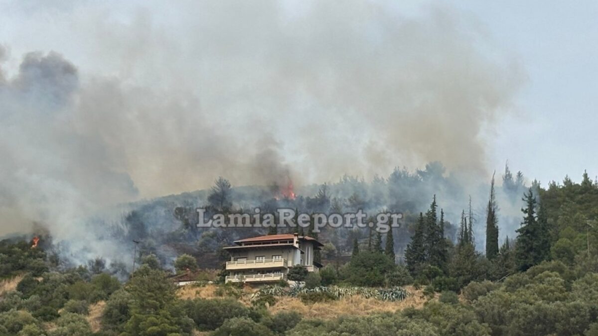 Φωτιά σε αγροτοδασική έκταση στην Πελασγία Φθιώτιδας