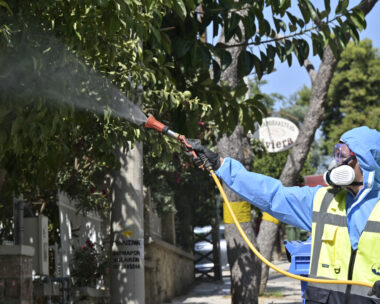 Ψεκασμοί κατά κουνουπιών