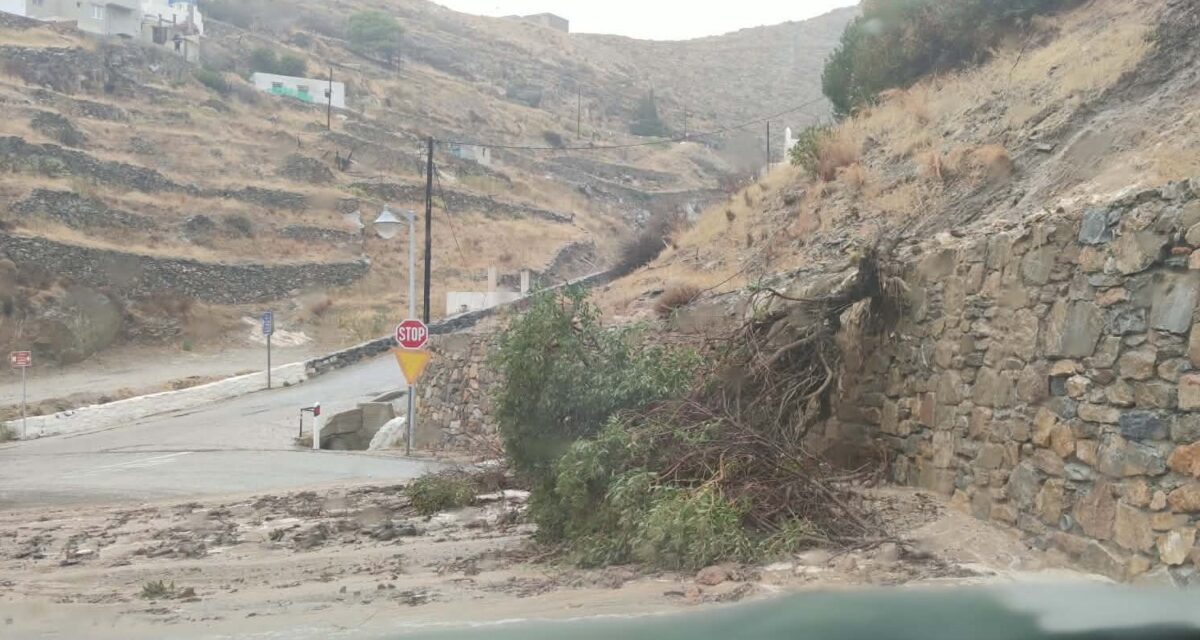 Σαρώνει η κακοκαιρία: Πλημμύρες και πτώση δέντρου στη Σύρο - Μπόρα με προβλήματα στην κυκλοφορία στο Ηράκλειο