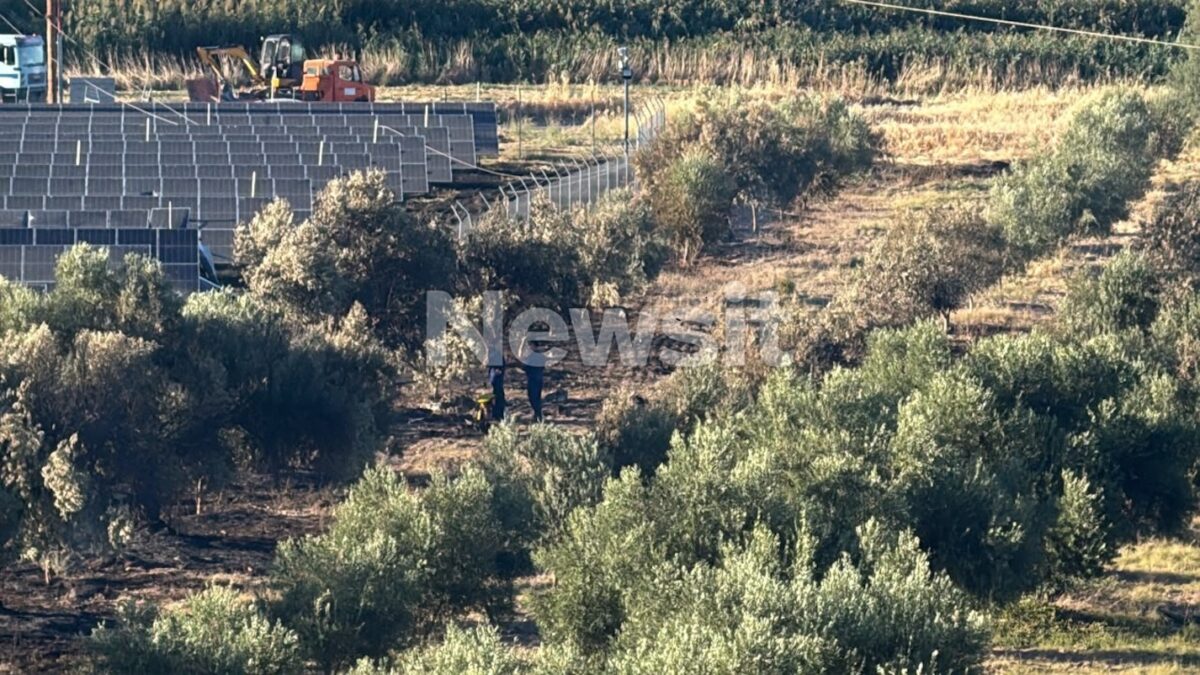 Τανάγρα