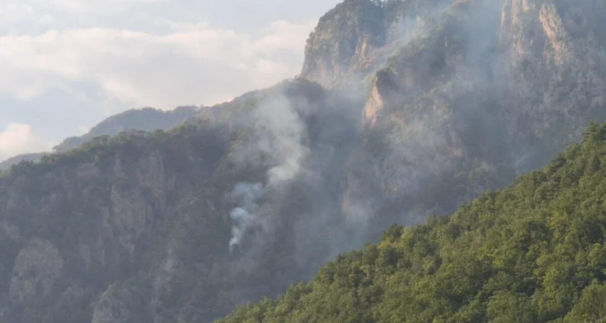 Το μέτωπο της φωτιάς στην Τραπεζίτσα