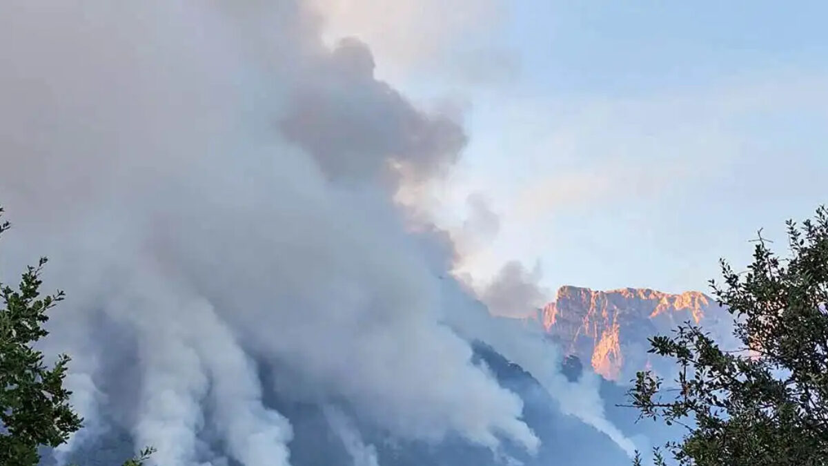 Φωτιά στην Τραπεζίτσα, στην Κόνιτσα