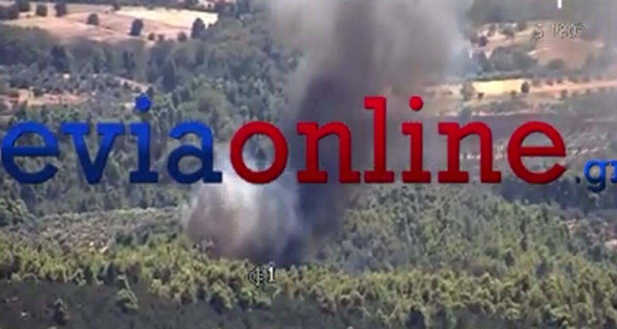 Φωτιά στην Εύβοια στην περιοχή Τριάδος