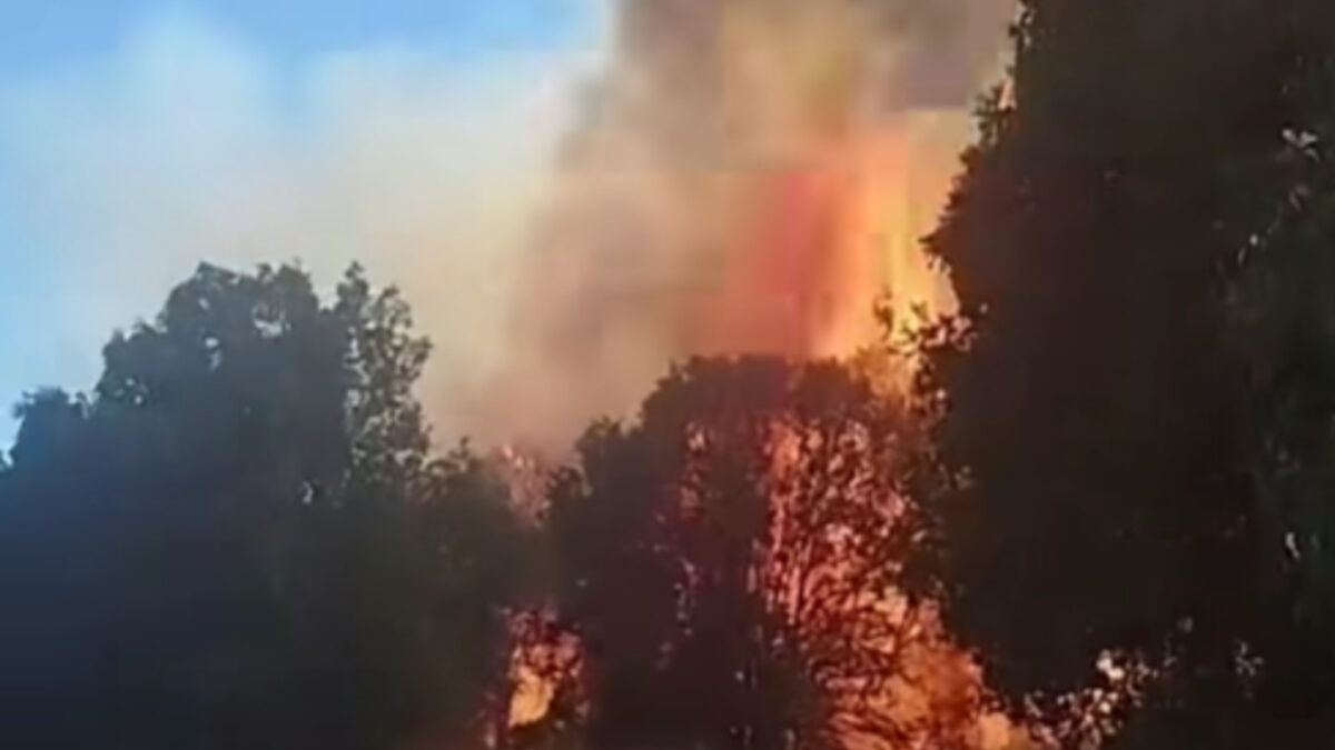 Φωτιά στα Τρίκαλα