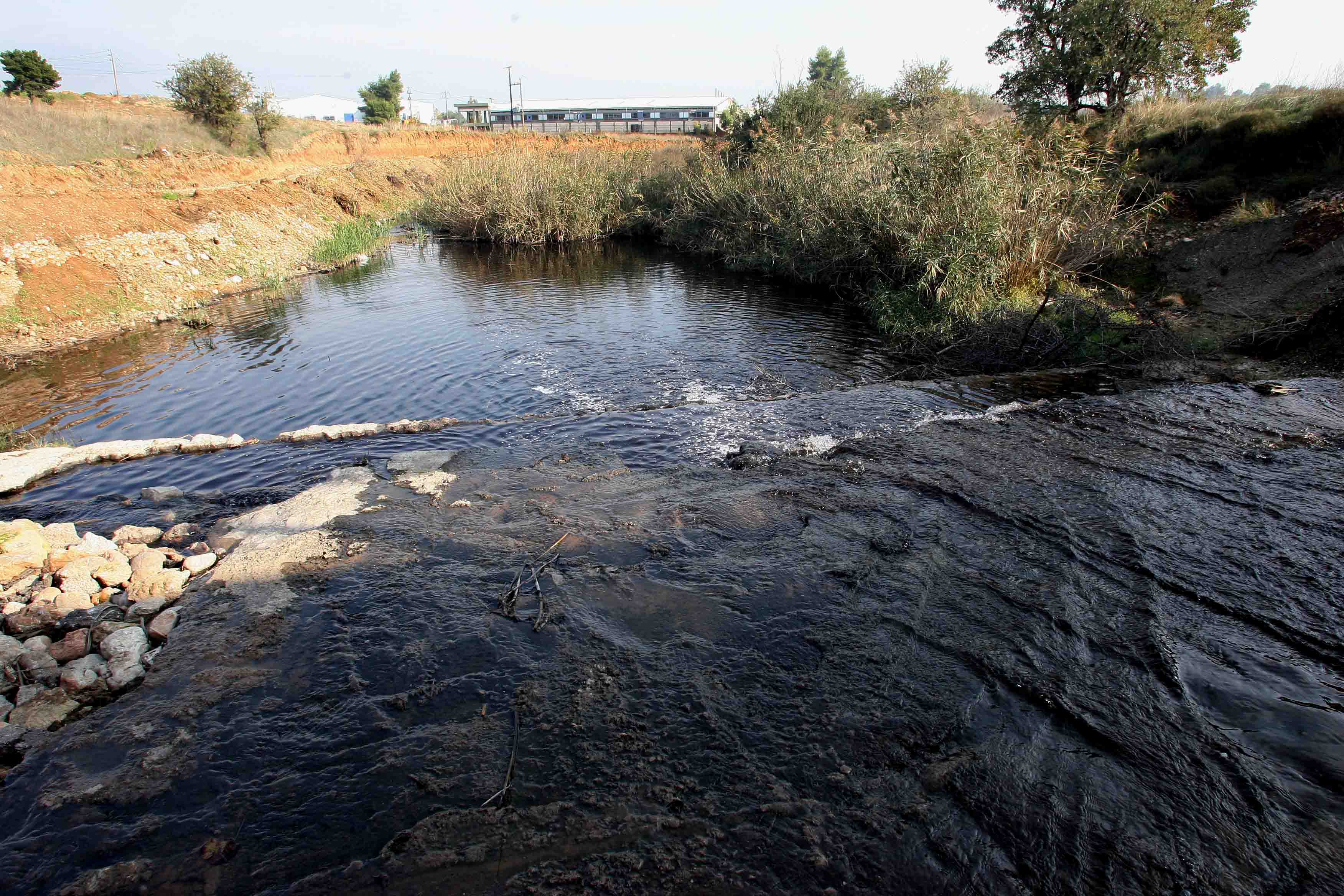 Βακτήριο χολέρας βρέθηκε στον Ασωπό ποταμό: Σε Οινόφυτα, Συκάμινο και Ωρωπό τα μολυσμένα δείγματα – Τα ευρήματα του ΠΑΚΟΕ